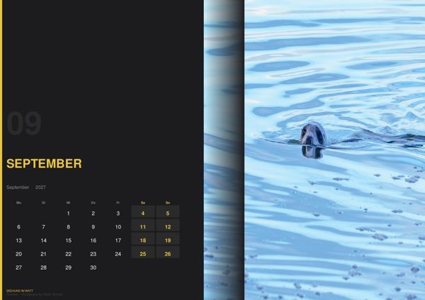 September