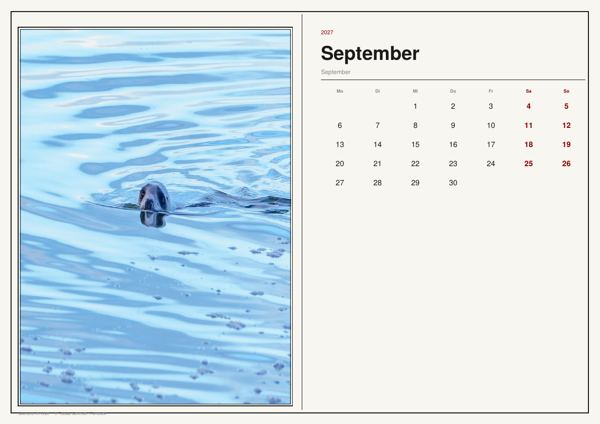 September